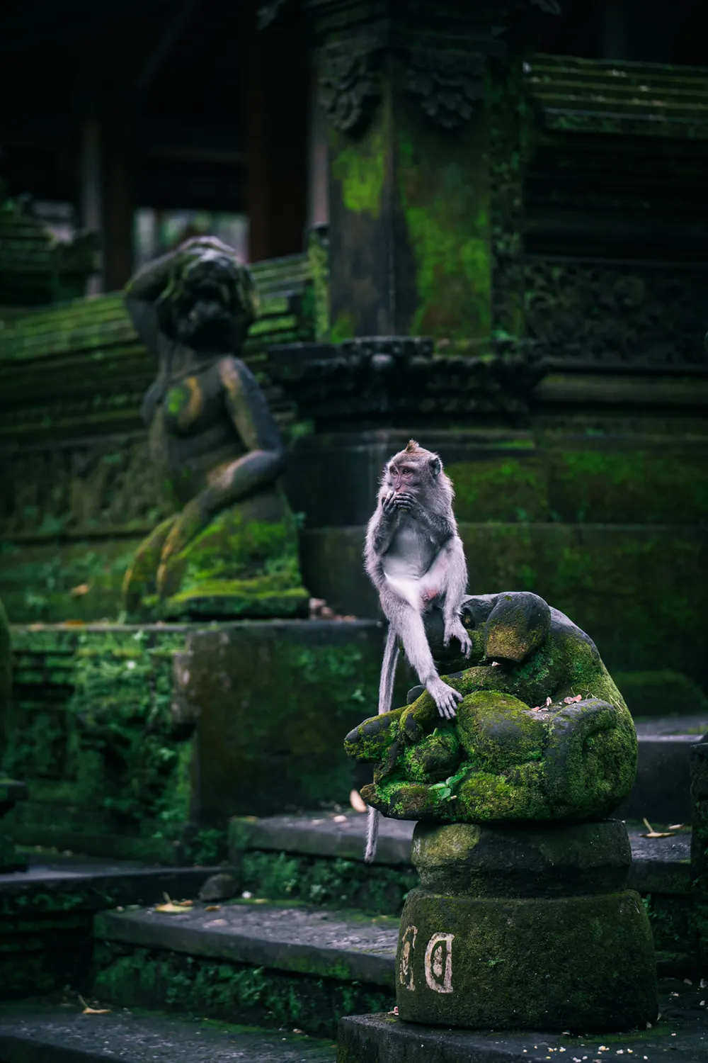 Contoh foto dengan preset Ricoh Positive